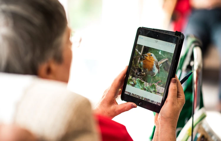Resident showing off their digital skills with photography of local wildlife